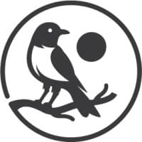 ROBINSON logo